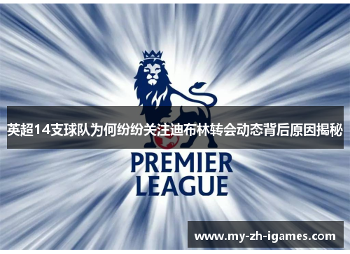 英超14支球队为何纷纷关注迪布林转会动态背后原因揭秘